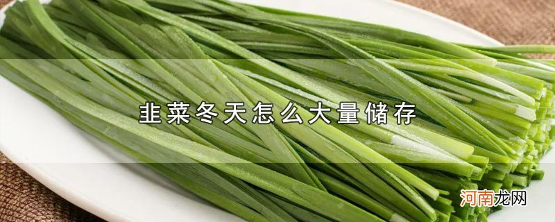 韭菜冬天怎么大量储存优质