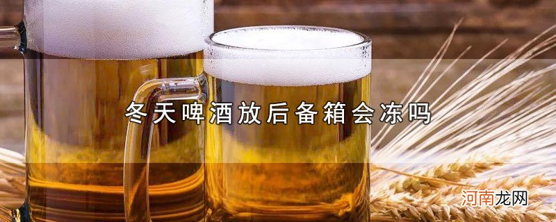 冬天啤酒放后备箱会冻吗优质