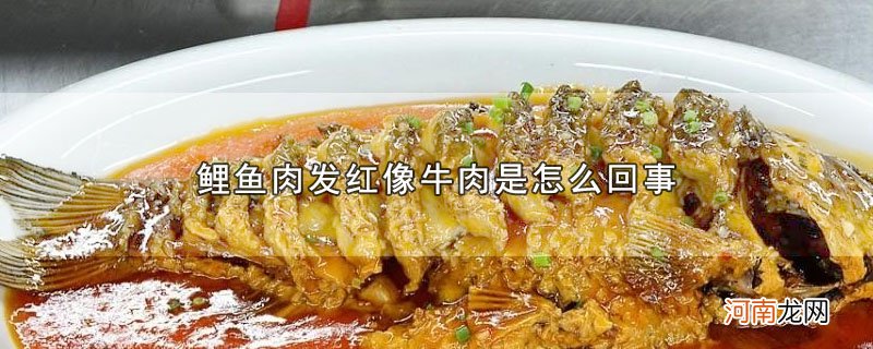 鲤鱼肉发红像牛肉是怎么回事优质