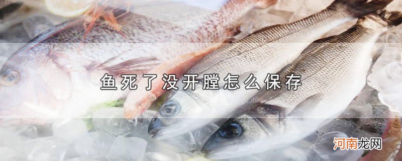 鱼死了没开膛怎么保存优质