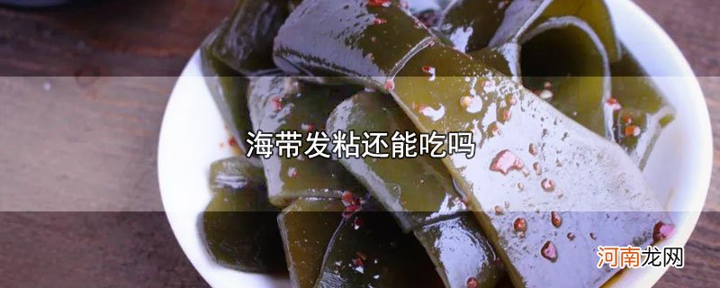 海带发粘还能吃吗优质