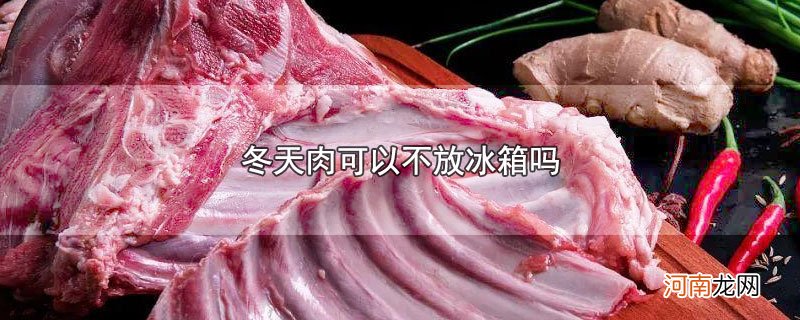 冬天肉可以不放冰箱吗优质