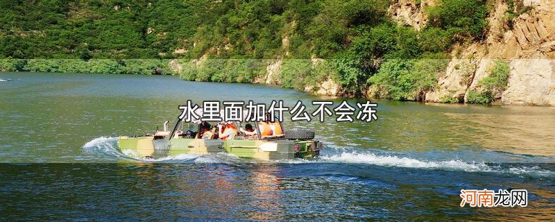 水里面加什么不会冻优质