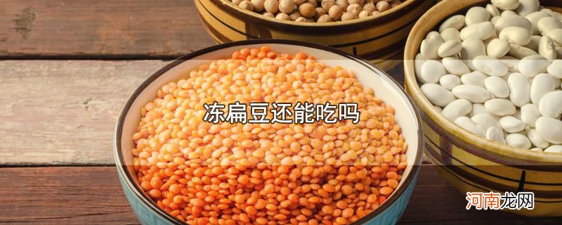 冻扁豆还能吃吗优质