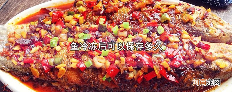 鱼冷冻后可以保存多久优质