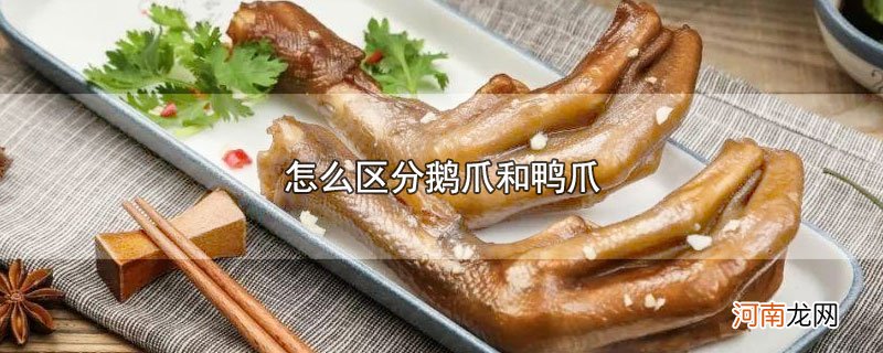 怎么区分鹅爪和鸭爪优质