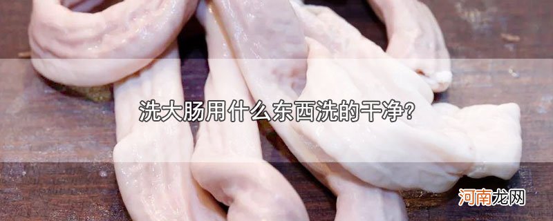 洗大肠用什么东西洗的干净?优质