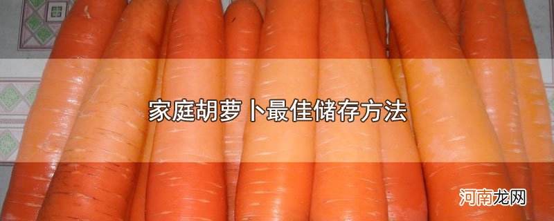 家庭胡萝卜最佳储存方法优质