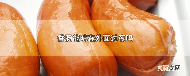 香肠能晾在外面过夜吗优质