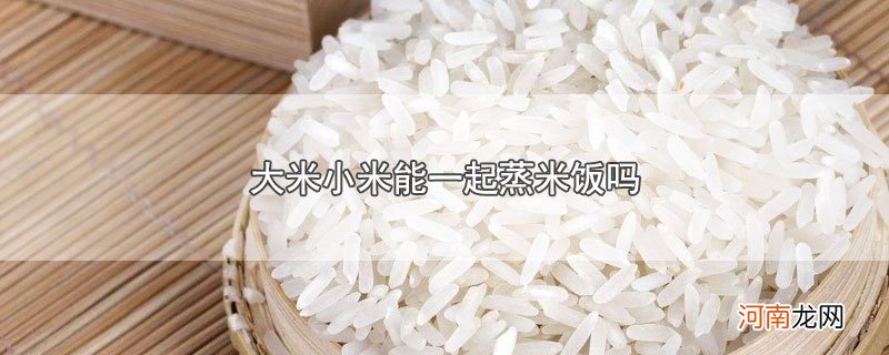 大米小米能一起蒸米饭吗优质