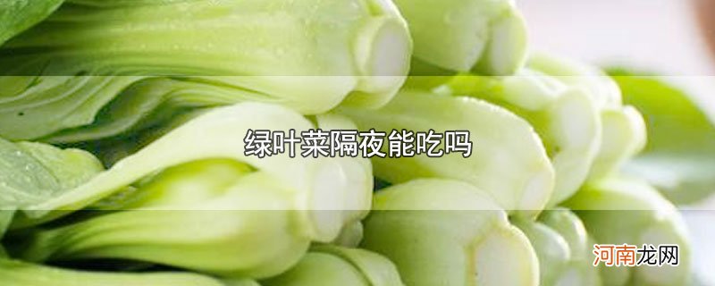 绿叶菜隔夜能吃吗优质