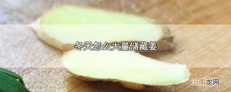 冬天怎么大量储藏姜优质