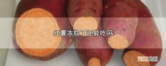 红薯冻软了还能吃吗优质