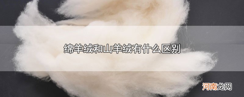 绵羊绒和山羊绒有什么区别优质