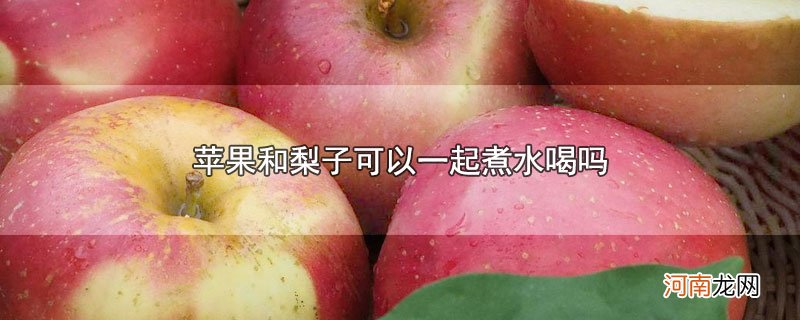 苹果和梨子可以一起煮水喝吗优质