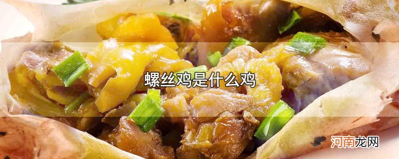 螺丝鸡是什么鸡优质