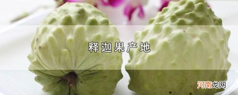 释迦果产地优质