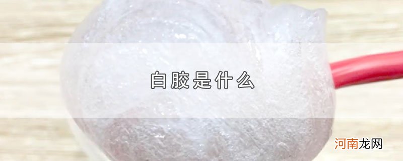 白胶是什么优质