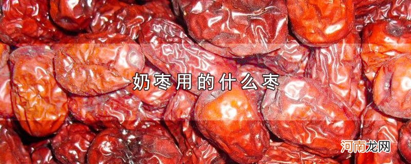 奶枣用的什么枣优质