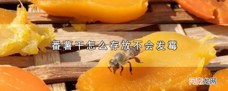 番薯干怎么存放不会发霉优质