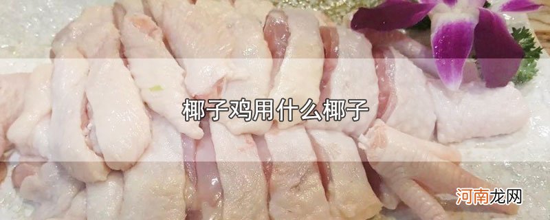 椰子鸡用什么椰子优质