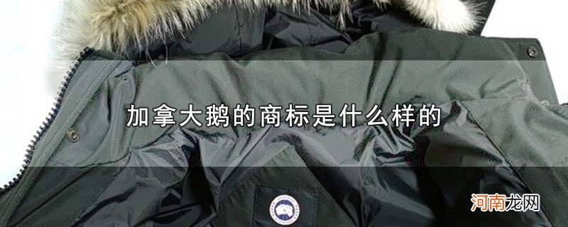 加拿大鹅的商标是什么样的优质