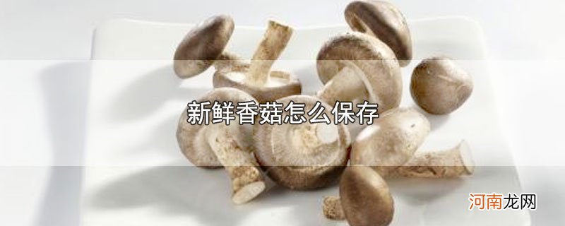 新鲜香菇怎么保存优质