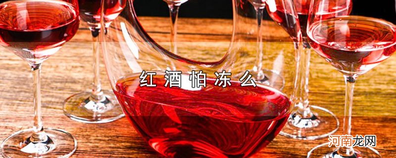 红酒怕冻么优质