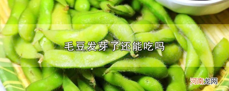 毛豆发芽了还能吃吗优质