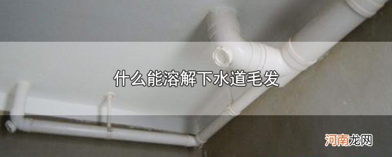 什么能溶解下水道毛发优质