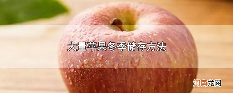 大量苹果冬季储存方法优质