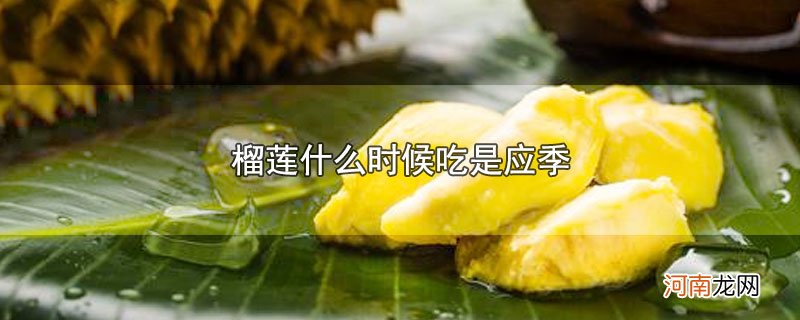 榴莲什么时候吃是应季优质