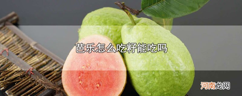 芭乐怎么吃籽能吃吗优质