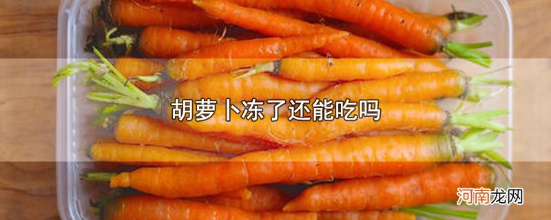 胡萝卜冻了还能吃吗优质