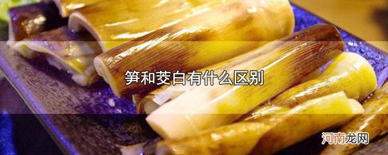 笋和茭白有什么区别优质