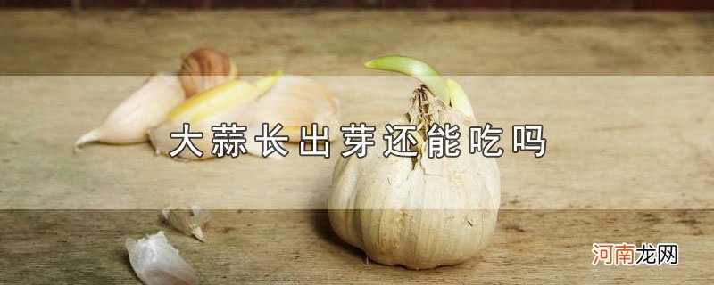 大蒜长出芽还能吃吗优质