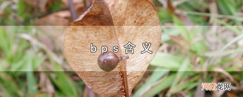 bps含义优质