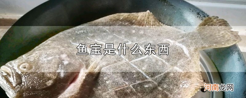 鱼宝是什么东西优质