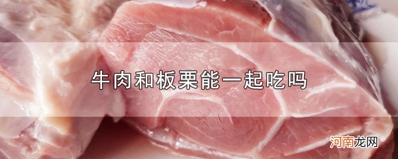 牛肉和板栗能一起吃吗优质