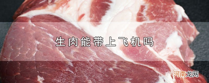 生肉能带上飞机吗优质