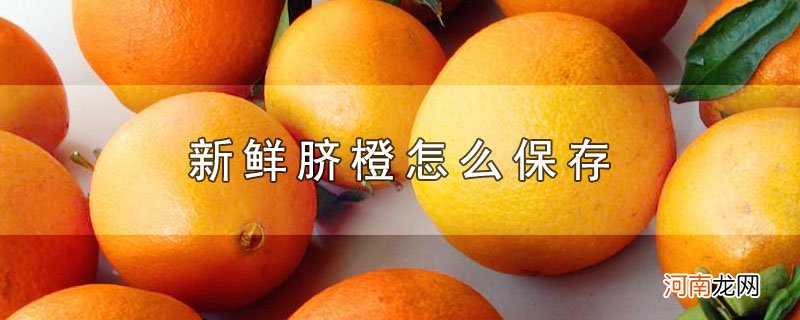 新鲜脐橙怎么保存优质