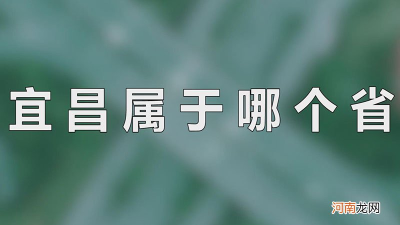 宜昌属于哪个省优质