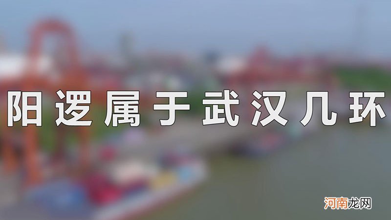 阳逻属于武汉几环优质