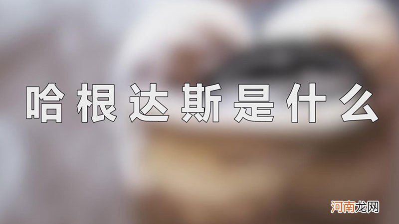 哈根达斯是什么优质