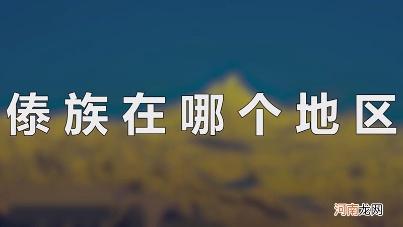 傣族在哪个地区优质