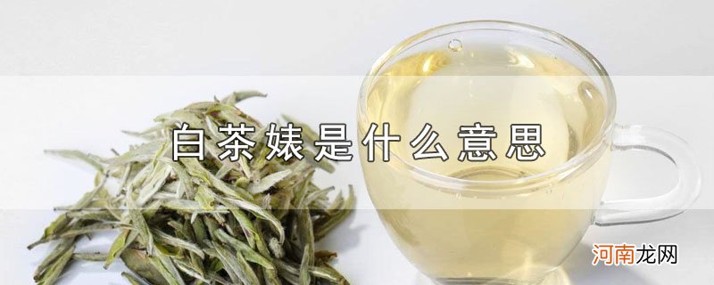 白茶婊是什么意思优质