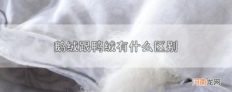 鹅绒跟鸭绒有什么区别优质