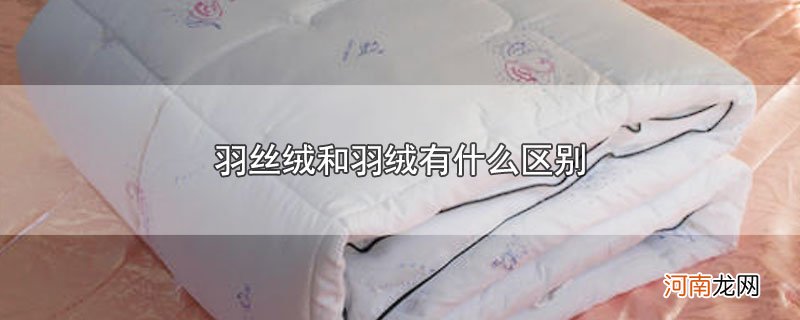 羽丝绒和羽绒有什么区别优质