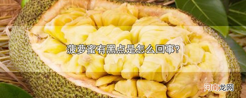 菠萝蜜有黑点是怎么回事?优质