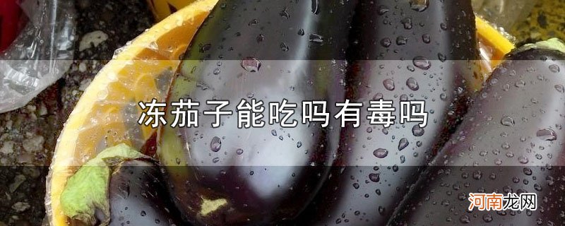 冻茄子能吃吗有毒吗优质